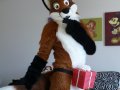 1266129739.jimdalefox_fox_s_box_017.jpg